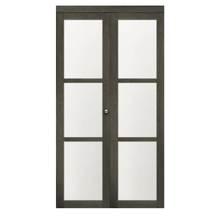 Renin Renin 24 in. x 80 1/2 in. Euro 1-Lite Design Pivot Door PV5401IAFGC024080